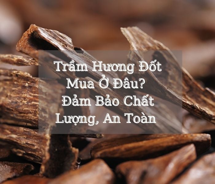 "MUA TRẦM HƯƠNG ĐỐT Ở ĐÂU" Đảm Bảo Chất Lượng, An Toàn