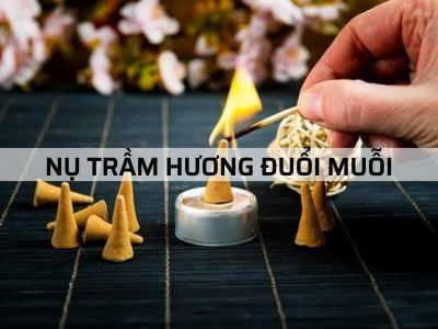 Sử dụng Nụ Trầm Hương đuổi muỗi đem lại hiệu quả bất ngờ