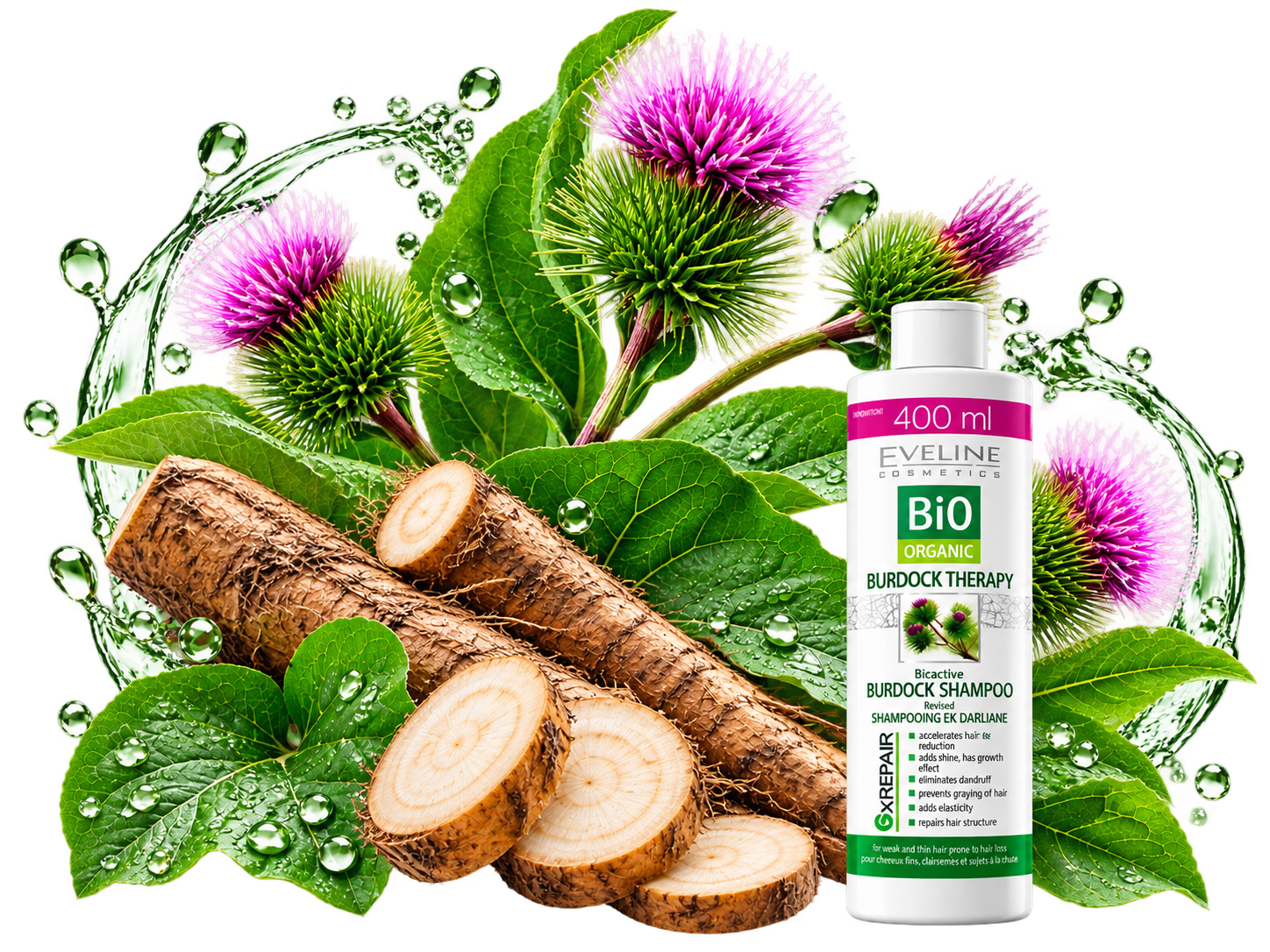 Ngưu bàng (burdock) công dụng của thảo dược và ứng dụng trong dầu gội chăm sóc tóc