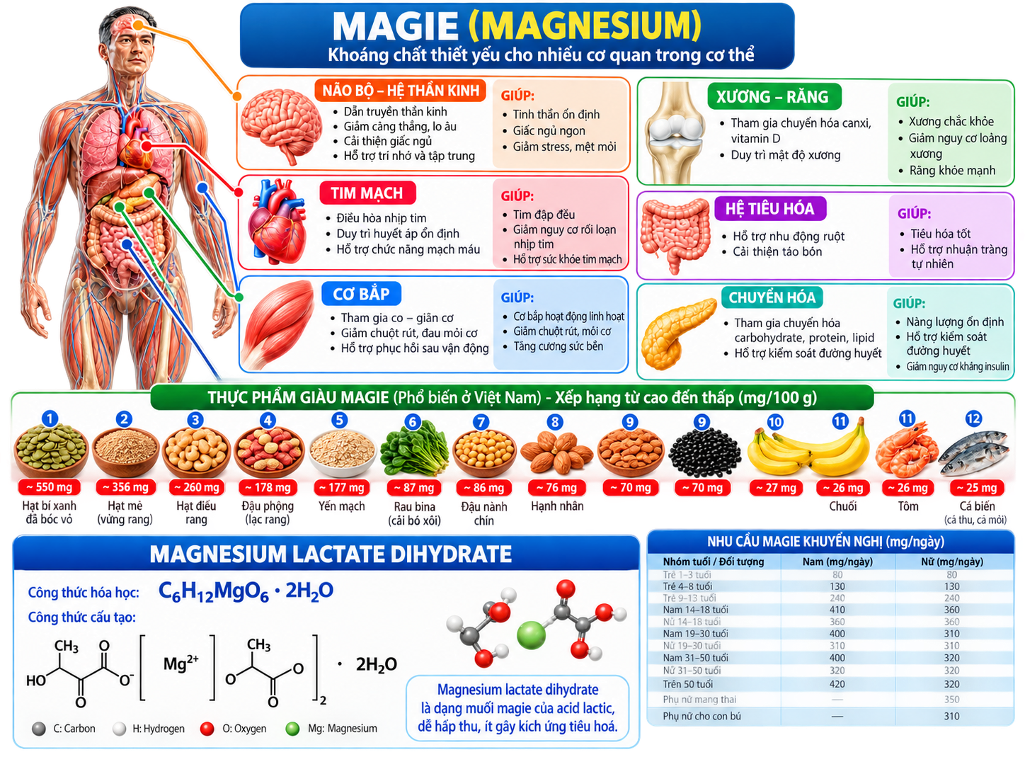 Magnesium lactate dihydrate, nguồn magie dạng muối hữu cơ trong viên bổ sung magie