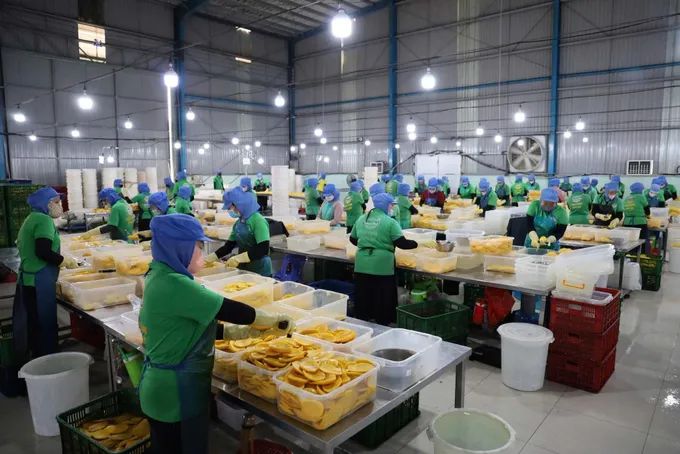 Doanh nghiệp TPHCM dè dặt đơn hàng mới do lo ngại chi phí logistics