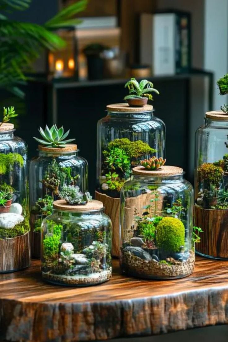 Terrarium Bị Mốc, Lá Úa? Bí Quyết Xử Lý 
