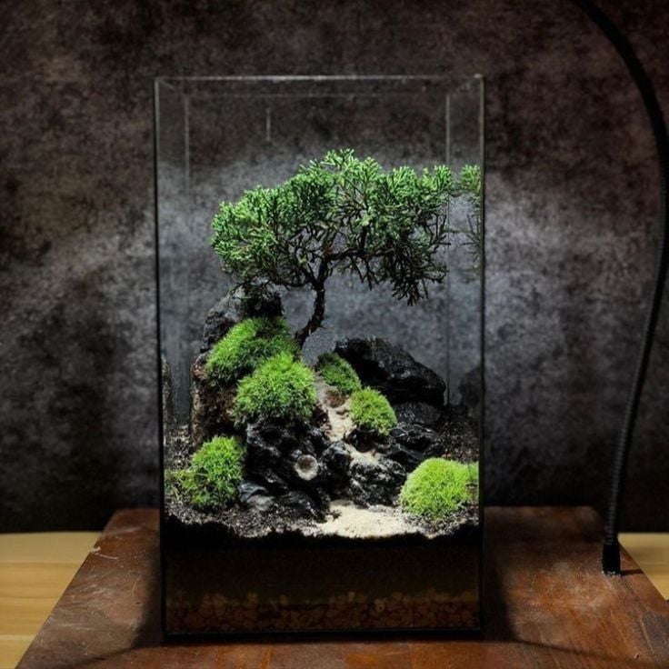 Top 5 Dịp Tặng Terrarium Ý Nghĩa: Hơn Cả Decor, Là Thông Điệp Sống