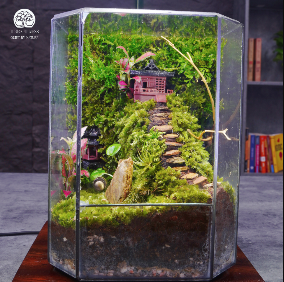 Tự Tay Làm Terrarium DIY Món Quà Sinh Nhật Handmade Độc Đáo