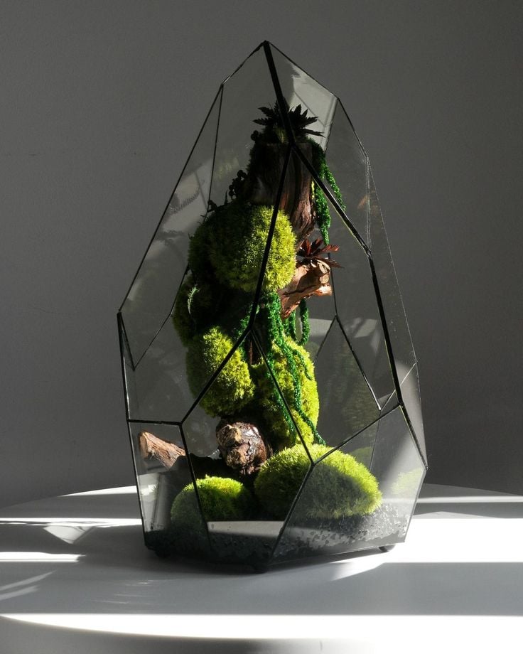 Vì Sao Terrarium Trở Thành Xu Hướng Decor Không Thể Bỏ Lỡ Năm 2025?
