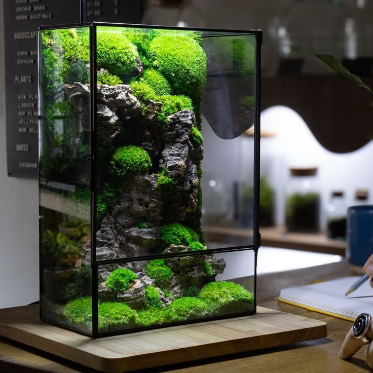 Góc Decor Terrarium Cho Dân Văn Phòng: Xanh Hóa Bàn Làm Việc, Thư Giãn