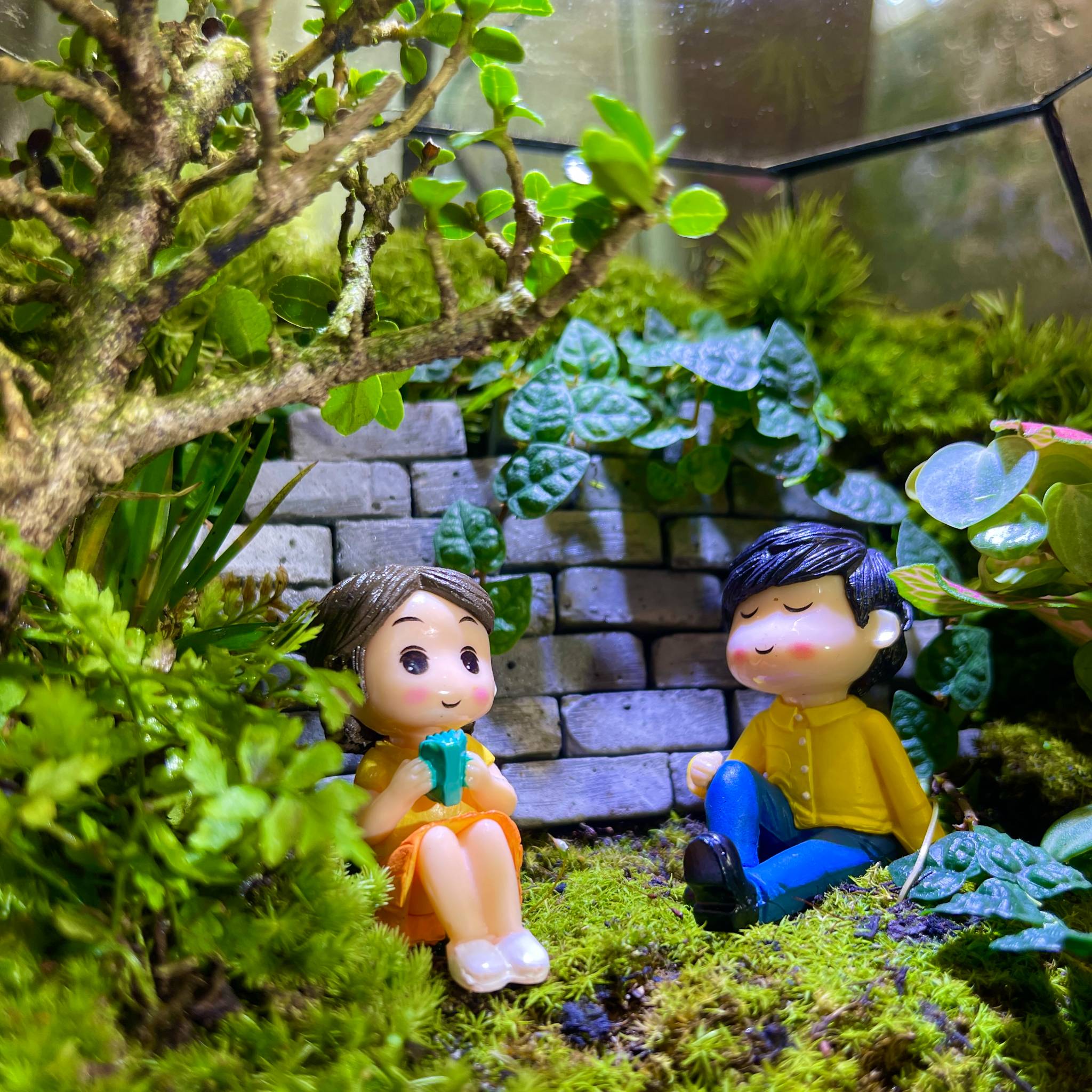Lời Yêu Được Gửi Gắm Qua Chiếc Bể Xanh - Khi Terrarium Thay Lời Muốn Nói