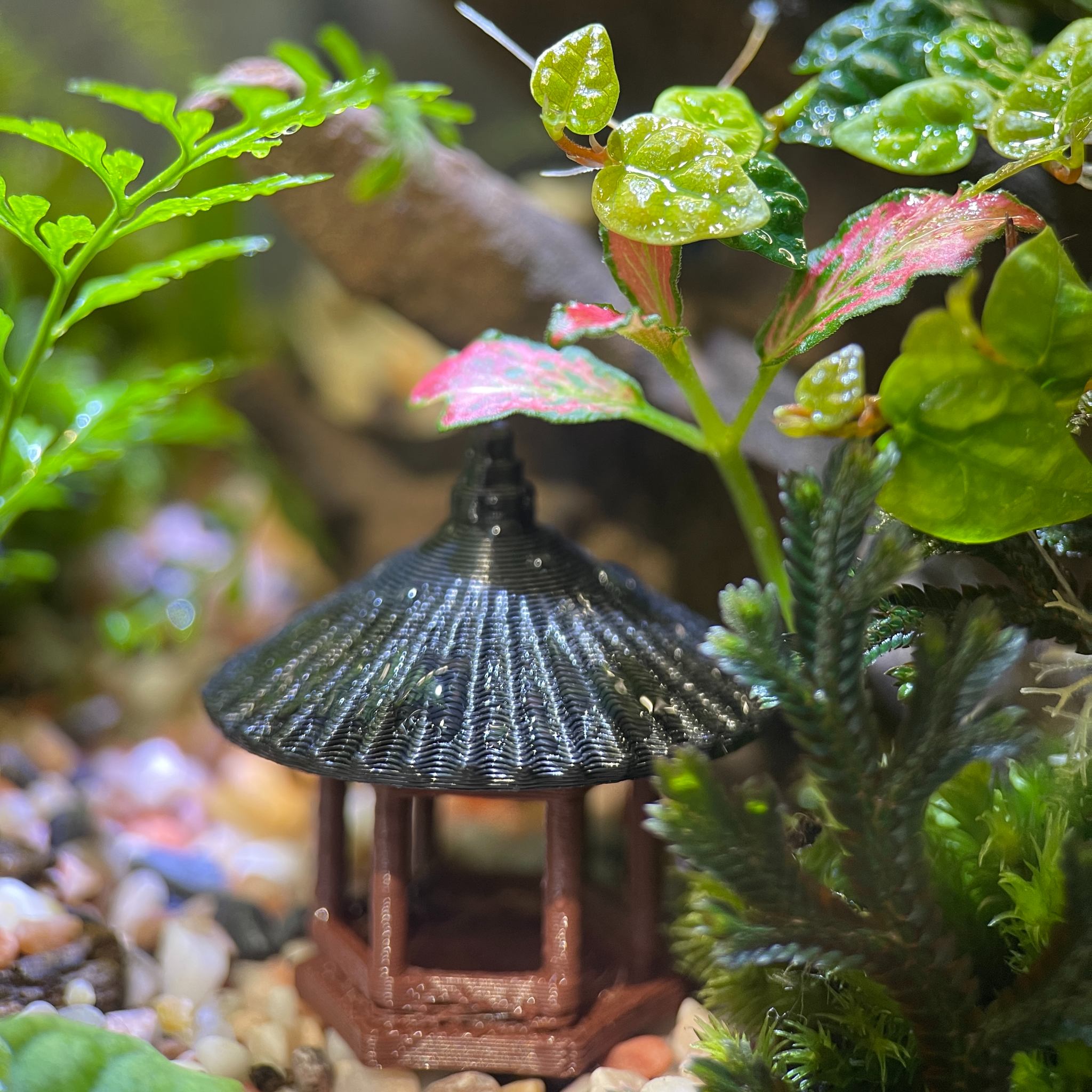Terrarium Không Chỉ Là Trang Trí – Mà Là Một Chút Thư Giãn Giữa Những Ngày Mỏi Mệt