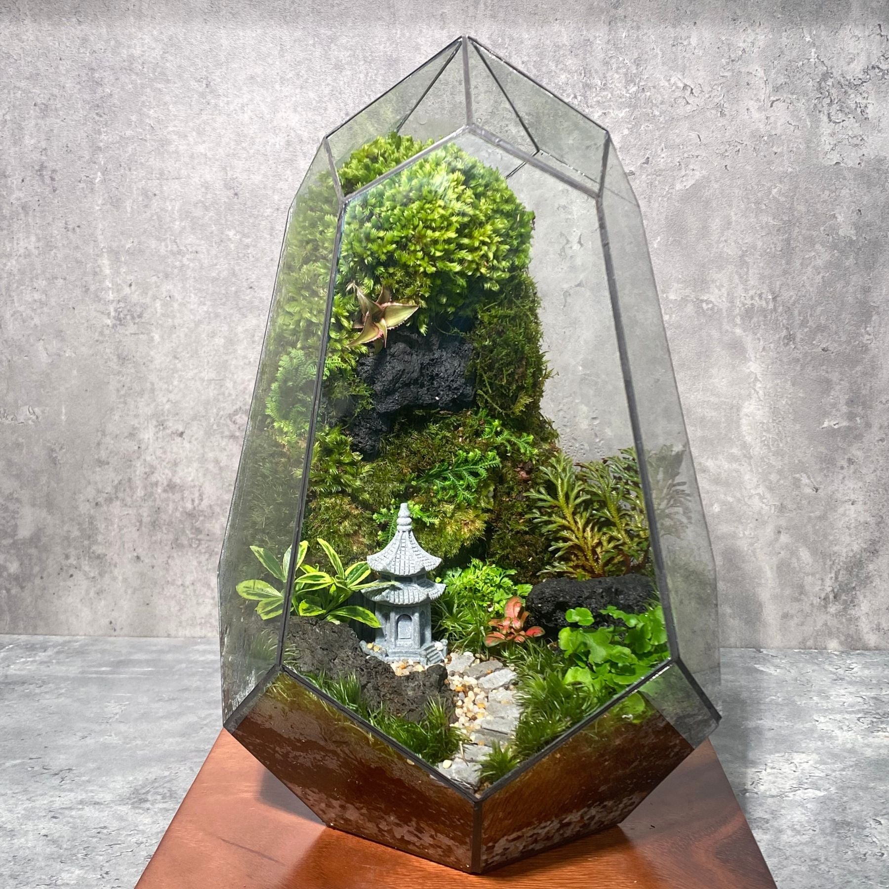 Terrarium Là Gì? Khám Phá 