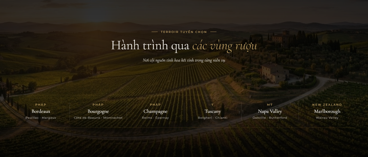 Hành trình qua các vùng rượu
