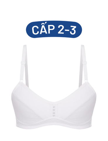  Áo ngực học sinh iBasic cotton USA kháng khuẩn cài sau - VA107 