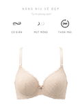  Áo ngực iBasic Bigsize có gọng mút mỏng họa tiết ren logo - BRAW110_BS 
