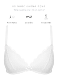  Áo ngực nữ iBasic không gọng mút mỏng full ren - BRAY080 