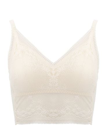  Áo lót ren bralette iBasic phom cami mút mỏng - BRAY118 