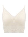  [PRE_ORDER] Áo lót ren bralette iBasic phom cami mút mỏng - BRAY118 