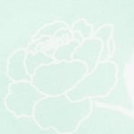 Hoa trắng nền xanh pastel