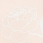 Hoa trắng nền cam pastel