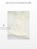  Bra Set Áo ngực, quần lót nữ ren iBasic có gọng mút mỏng ren logo cup ngang iBasic - BRAW184, PANW211 