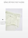  Bra Set Áo ngực, quần lót nữ ren iBasic có gọng mút mỏng ren logo cup ngang iBasic - BRAW184, PANW211 