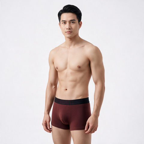  Combo 2 Quần lót boxer nam iBasic phom trunk cotton USA kháng khuẩn PANM174 