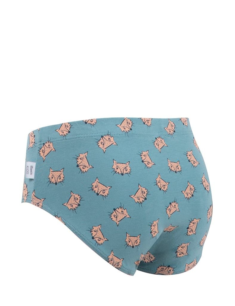  Quần lót bé trai iBasic phom brief tam giác cotton USA kháng khuẩn - PANB028 
