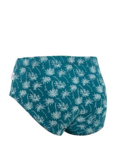  Quần lót bé trai iBasic phom brief tam giác cotton USA kháng khuẩn - PANB028 