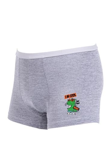  Quần lót bé trai iBasic thun lạnh phom trunk in hình - PANB032_1 