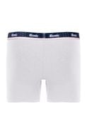  Quần lót nam American Classic iBasic phom boxer cotton USA kháng khuẩn - PANM160 