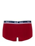  Quần lót nam American Classic iBasic phom trunk cotton USA kháng khuẩn - PANM161 
