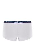  Quần lót nam American Classic iBasic phom trunk cotton USA kháng khuẩn - PANM161 