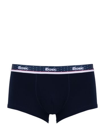 Quần lót nam American Classic iBasic phom trunk cotton USA kháng khuẩn - PANM161