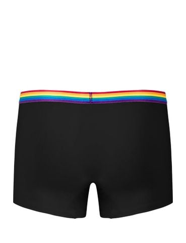  Quần lót nam Rainbow iBasic lưng sọc phom trunk cotton USA kháng khuẩn - PANM163A 