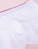  Quần lót nam Rainbow iBasic lưng sọc loang phom trunk cotton USA kháng khuẩn - PANM163B 