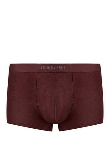 Quần lót nam iBasic trunk cotton USA kháng khuẩn - PANM166A