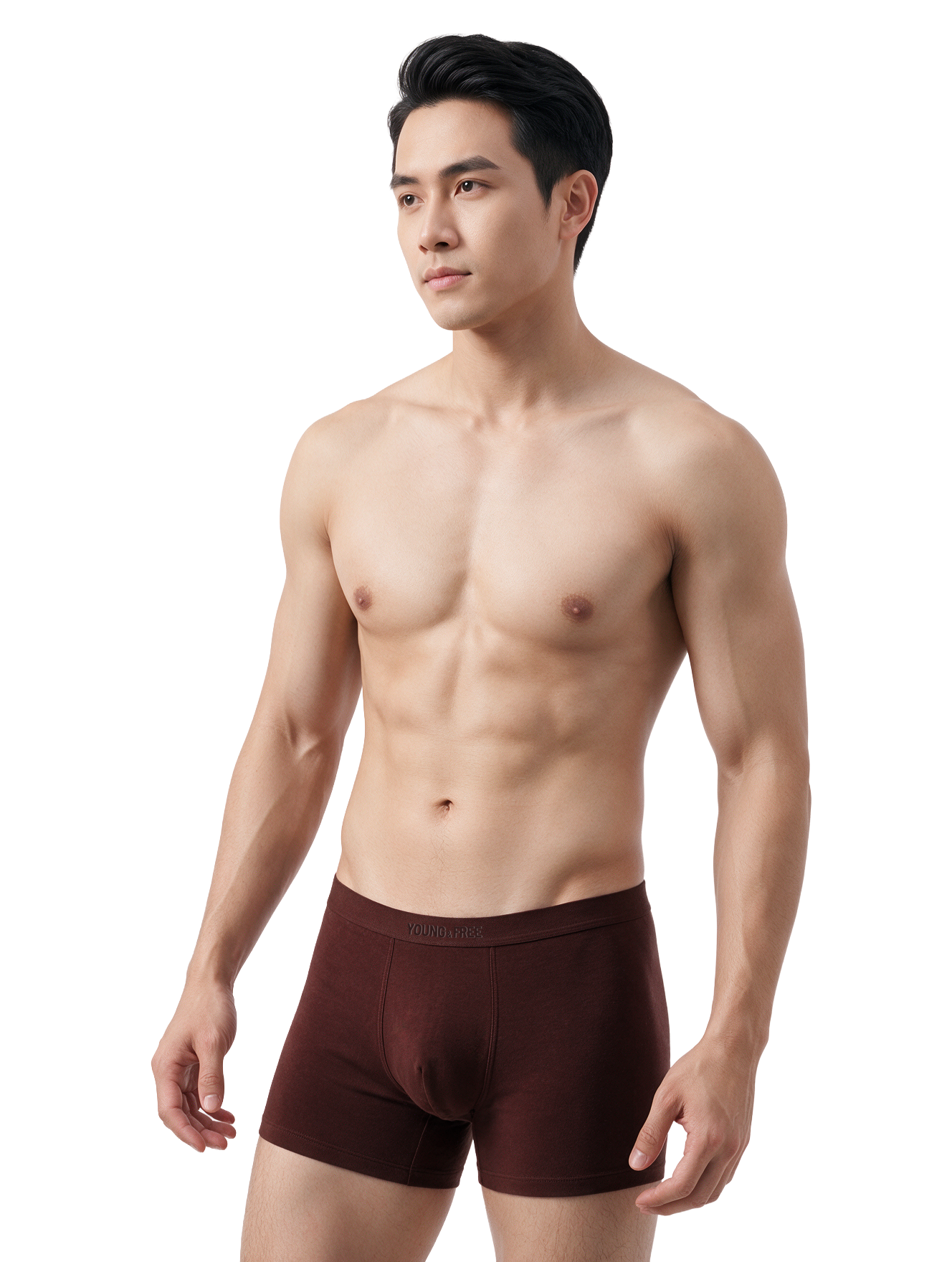  Quần lót nam iBasic boxer cotton USA kháng khuẩn bonding - PANM167 
