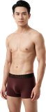  Combo 2 Quần lót boxer nam iBasic phom trunk cotton USA kháng khuẩn PANM175 
