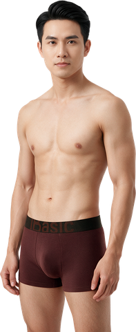  Combo 2 Quần lót boxer nam iBasic phom trunk cotton USA kháng khuẩn PANM175 