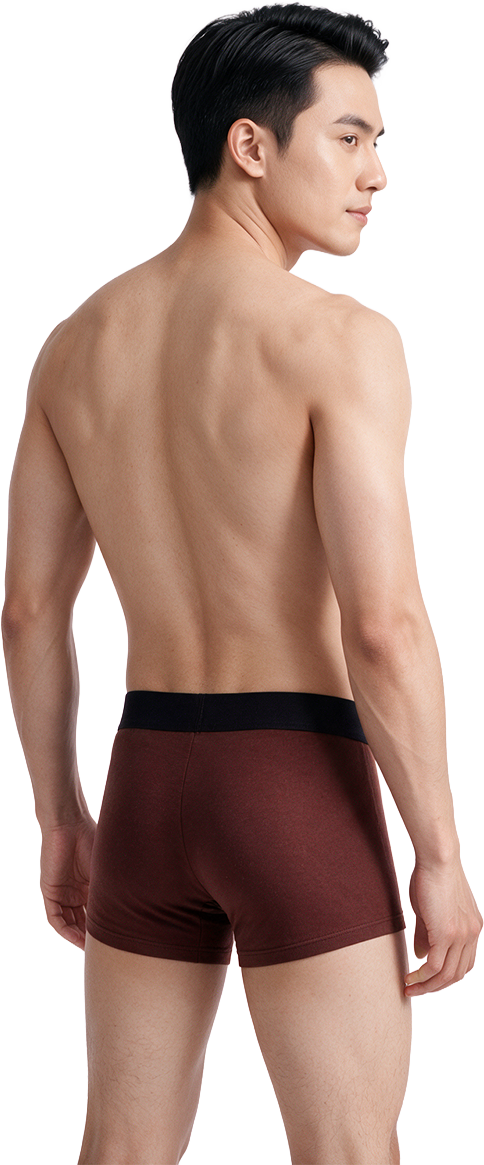  Combo 2 Quần lót boxer nam iBasic phom trunk cotton USA kháng khuẩn PANM175 