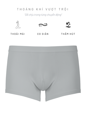 Quần lót nam học sinh bé trai iBasic 10y - 18y thun lạnh phom trunk  - PANTB004 