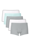  Combo 5 Quần lót nam học sinh bé trai iBasic 10y - 18y thun lạnh phom trunk  - PANTB004 