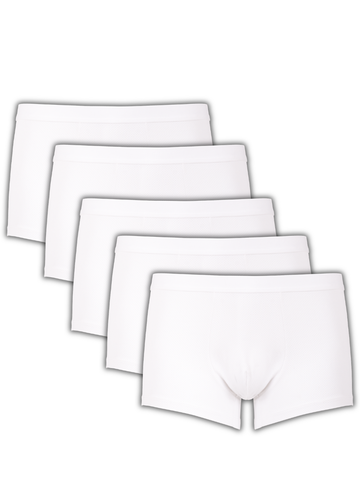  Combo 5 Quần lót nam học sinh bé trai iBasic 10y - 18y thun lạnh phom trunk  - PANTB004 