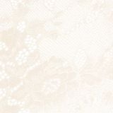  Quần lót nữ ren logo phom brazillian lưng cao phối lưới iBasic - PANW212 