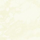  Quần lót nữ ren logo phom brazillian lưng cao phối lưới iBasic - PANW212 