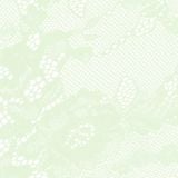  Quần lót nữ ren logo phom brazillian lưng cao phối lưới iBasic - PANW212 