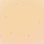 Da beige