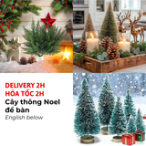 Cây Thông Mini BBNE58