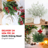 Cành Thông Noel 30cm BBNE53