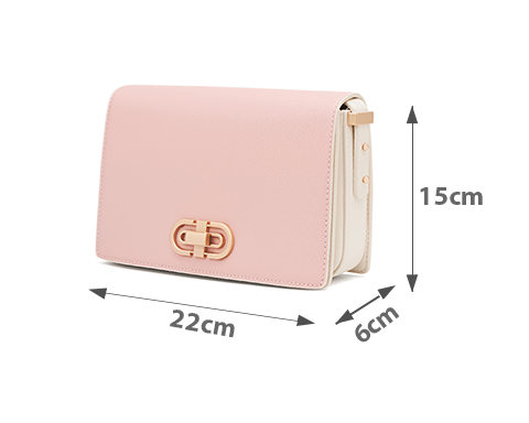 Túi Xách Nhỏ Khoá Put