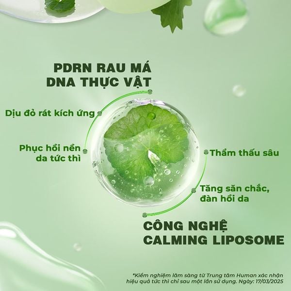  Serum 9 Wishes Rau Má, Hỗ Trợ Phục Hồi, Làm Dịu Da Centella Pdrn Calm Ampule 30ml 