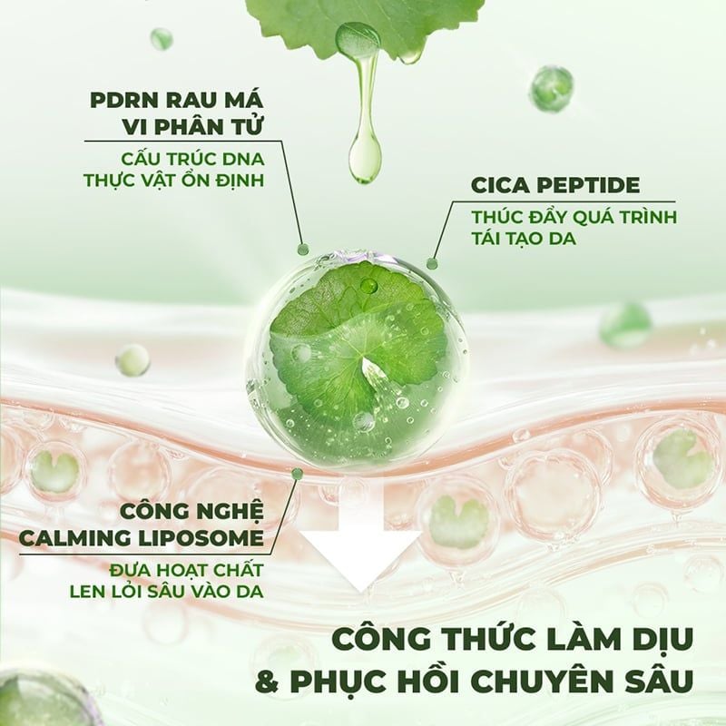 Serum 9 Wishes Rau Má, Hỗ Trợ Phục Hồi, Làm Dịu Da Centella Pdrn Calm Ampule 30ml